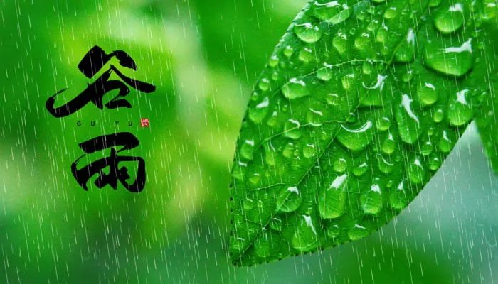 谷雨的四句古诗