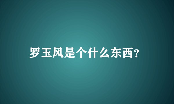 罗玉风是个什么东西？