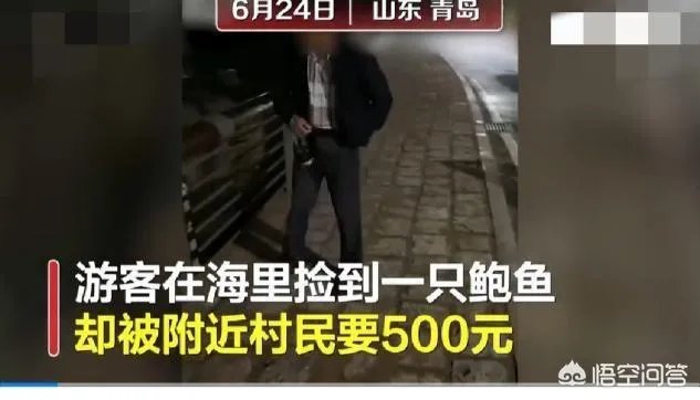 青岛再现天价海鲜一只鱼竟然500元,为何这种现象还会再出现?
