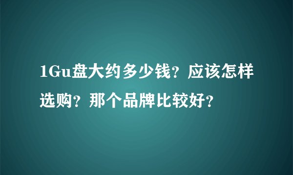 1Gu盘大约多少钱？应该怎样选购？那个品牌比较好？