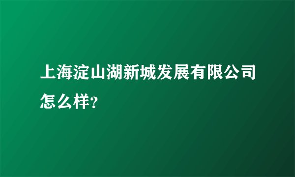 上海淀山湖新城发展有限公司怎么样？