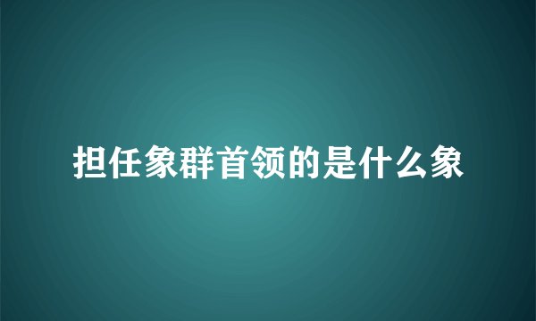 担任象群首领的是什么象