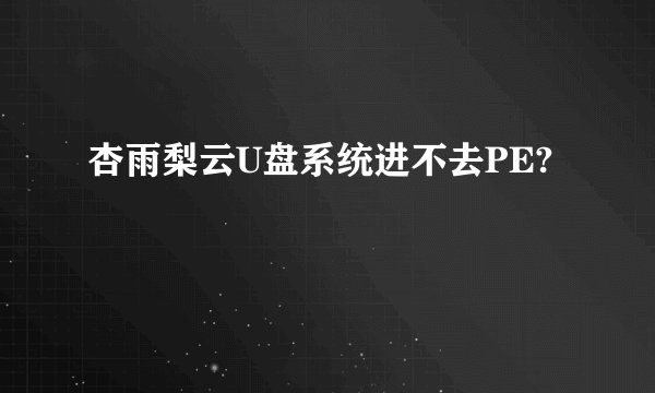 杏雨梨云U盘系统进不去PE?