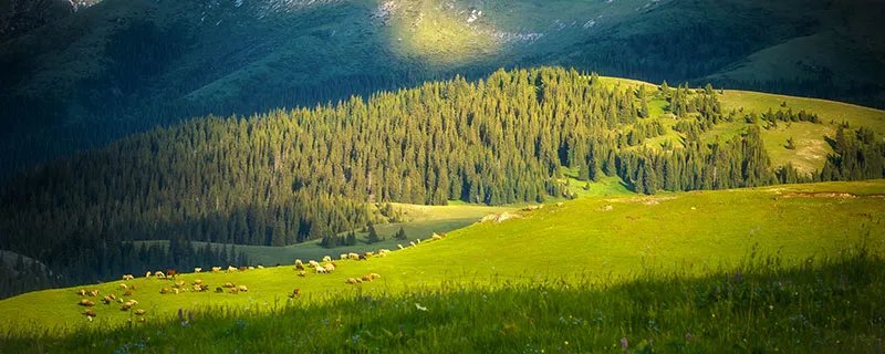 2020伊利旅游攻略 伊犁旅游攻略路线