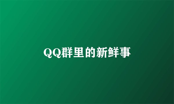 QQ群里的新鲜事