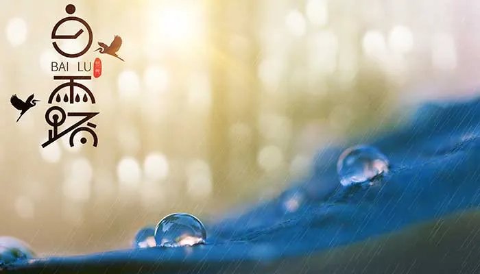 2023年白露是几点几分几秒 2023年白露在什么时间几点几分