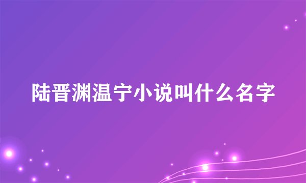 陆晋渊温宁小说叫什么名字