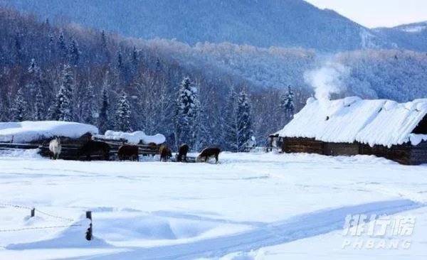 十一月份去哪里旅游最好国内_十一月份适合旅游的地方