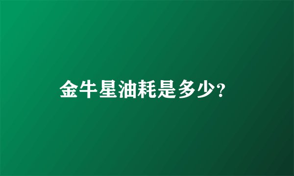 金牛星油耗是多少？