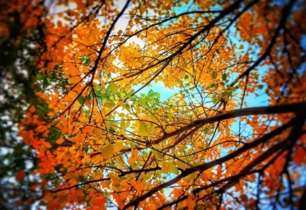 为什么越来越多的人，不喜欢去发朋友圈了呢？