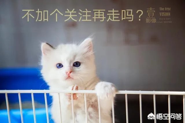 为什么有些溺水死亡的人被人拉上来胳膊和腿都是卷曲着的？