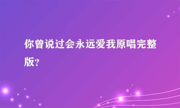 你曾说过会永远爱我原唱完整版？