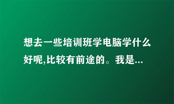 想去一些培训班学电脑学什么好呢,比较有前途的。我是一个初中毕业生