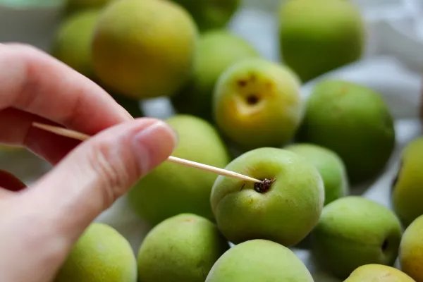 青梅酒的制作方法步骤