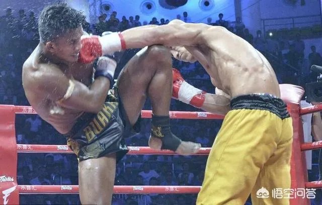 西提猜厉害，还是播求更厉害？