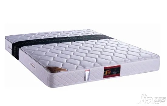 11月齐家网家装博览会中华丹迪床垫老总签售