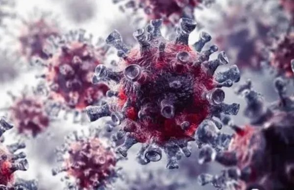 马来西亚发现新冠病毒变异毒株，会让现有疫苗研究功亏于溃吗？