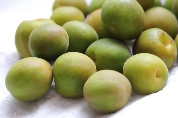 青梅酒的制作方法步骤