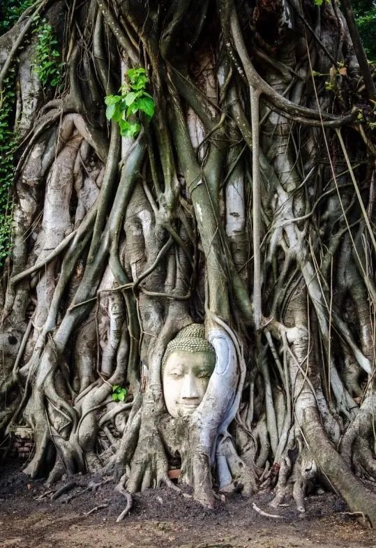 可爱萝莉长成辣妹！这30张对比照让你感受时光的可怕