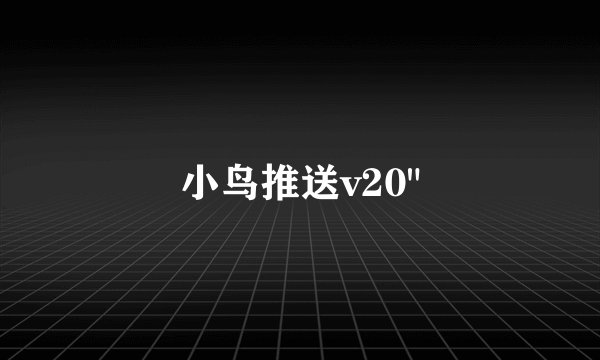 小鸟推送v20