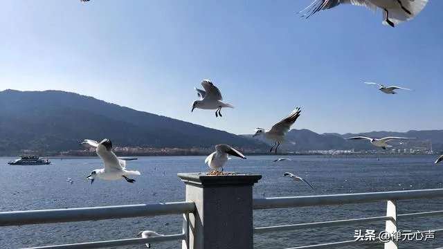 2021年的春节你是怎么过的？