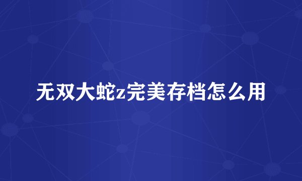 无双大蛇z完美存档怎么用