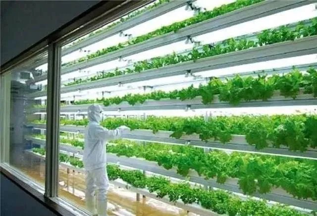 国家级现代农业示范区的标准？