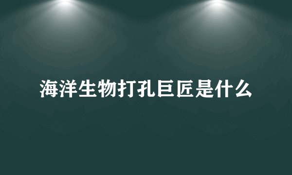 海洋生物打孔巨匠是什么