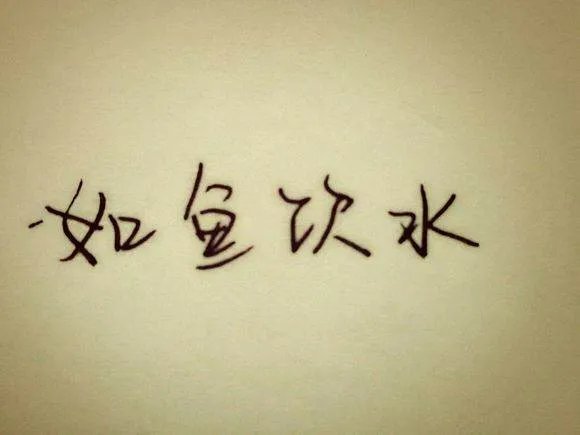 千年的心的介绍