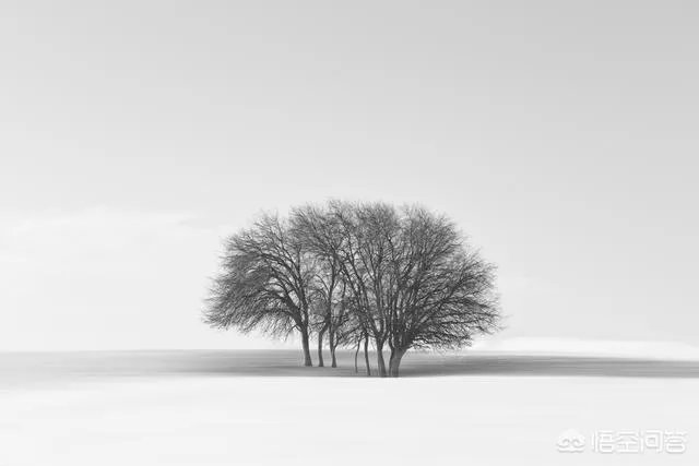 为何说佳能6D Mark II美中不足？