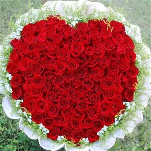 求婚花束图片欣赏 怎么选择求婚鲜花