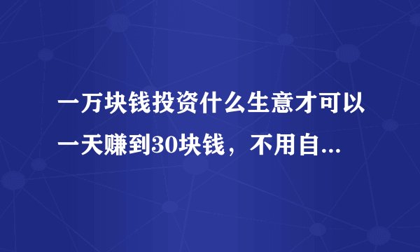 一万块钱投资什么生意才可以一天赚到30块钱，不用自己管理？