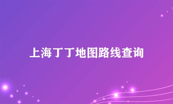 上海丁丁地图路线查询