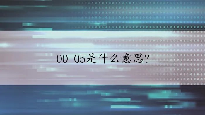00 05是什么意思？