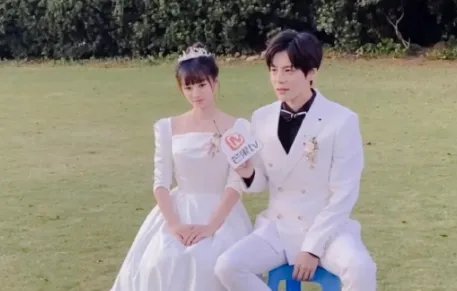 《贺先生的恋恋不忘》一共多少集？