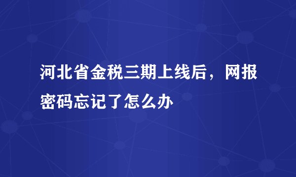 河北省金税三期上线后，网报密码忘记了怎么办