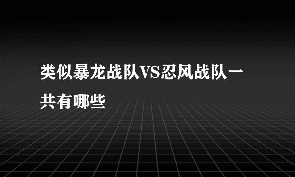 类似暴龙战队VS忍风战队一共有哪些