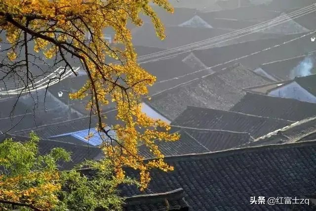 外出旅行住什么酒店最划算？