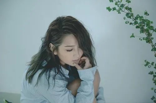 何洁曾经消失10年未曾露面，这10年她经历了些什么？