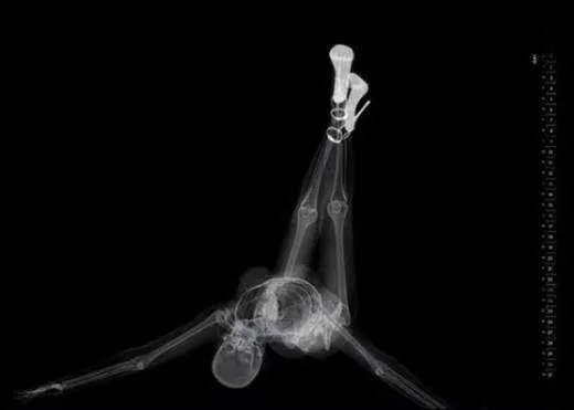 乌克兰正妹晒“露骨”照片走红 另类的福利美照