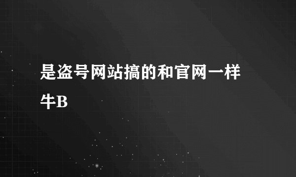 是盗号网站搞的和官网一样  牛B