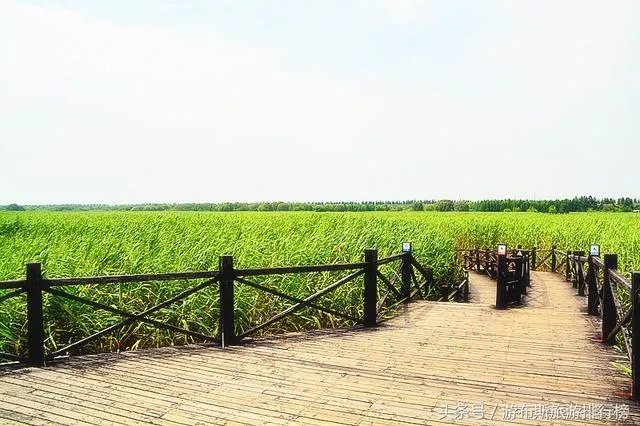 崇明有什么好玩的地方？