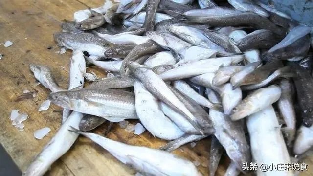 做鱼丸用什么海鱼