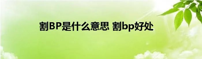 割BP是什么意思 割bp好处