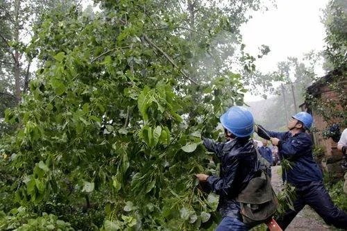 最强12级台风！第9号“马鞍”将生成，是否能问鼎2022风王？