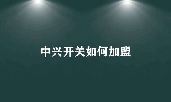 中兴开关如何加盟
