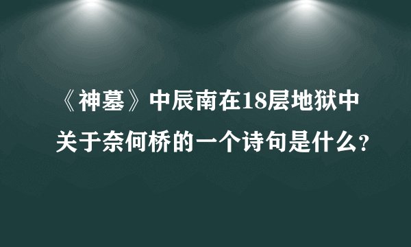 《神墓》中辰南在18层地狱中关于奈何桥的一个诗句是什么？