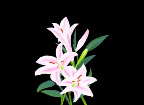 结婚周年礼物送什么好 什么样的结婚礼物有意义