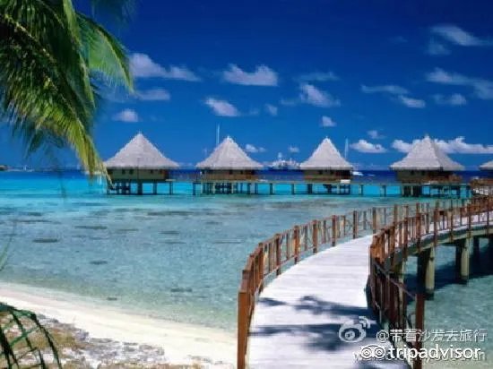 海口热带海洋世界怎么样？