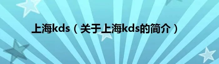 上海kds（关于上海kds的简介）